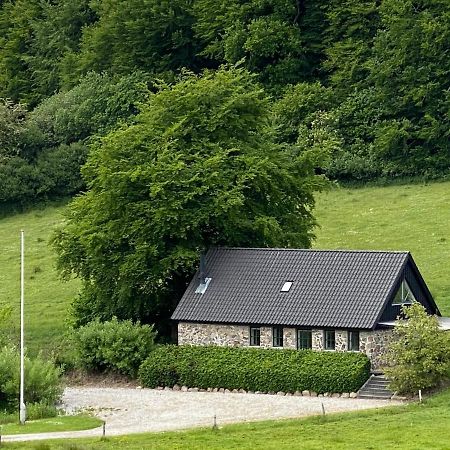 Stenhuset I Pilbrodalen Skanderborg Ngoại thất bức ảnh